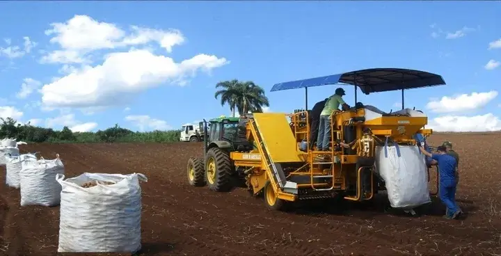 watanabe watanabe-patato-harvest