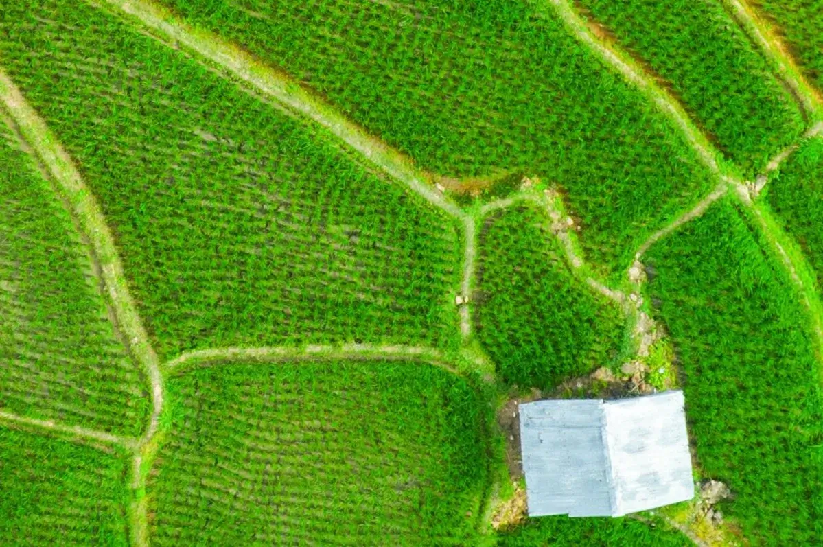 watanabe-about pto stoene crusher<br />
-about