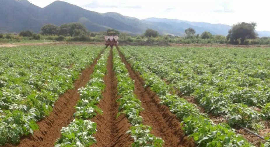 pto-stone-crusher-EP-ROTARY CULTIVATOR-ERA ROWS-for-show